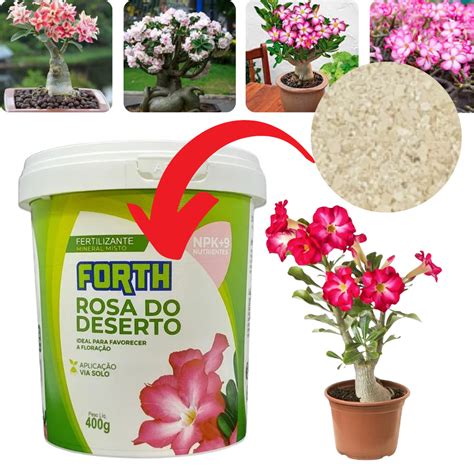 Fertilizante Rosa do Deserto Forth 400g Adubo Chega Amanhã Shopee