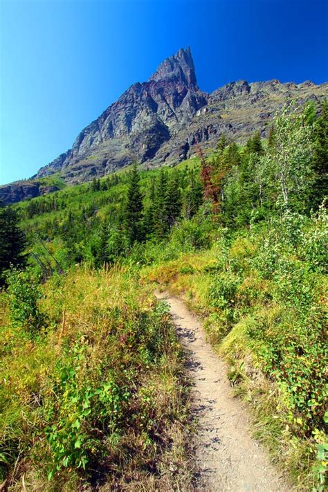 Many Glacier Hiking Trail Montana Stock Photo - Image of plant, park: 32578068