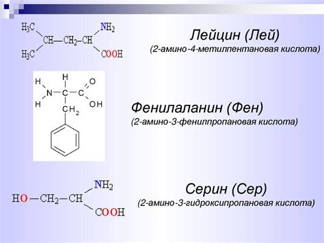 Аминокислоты, белки - online presentation