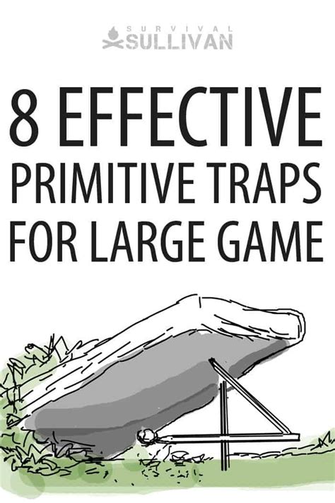 8 Effective Primitive Traps For Large Game Survival Sullivan