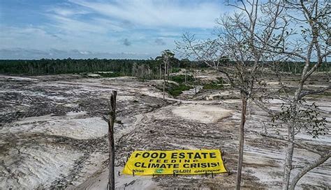 Gerindra Tepis PDIP Yang Sebut Proyek Food Estate Kejahatan Lingkungan