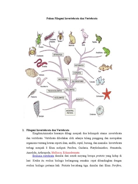 Pohon Filogeni Invertebrata Dan Vertebrata Docx