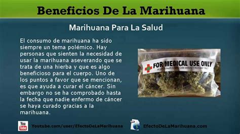 Beneficios De La Marihuana Los Beneficios Reales De La Marihuana Youtube