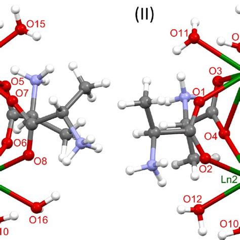 Molecular Structures Of Cationic Dimeric Complexes Ln H2O 4 L Ala 2 2