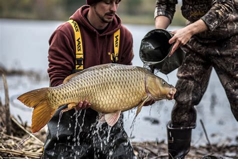 Home — American Carp Society