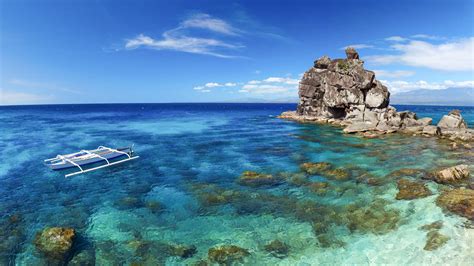 Scuba diving in Dauin and Apo Island, Philippines | ZuBlu