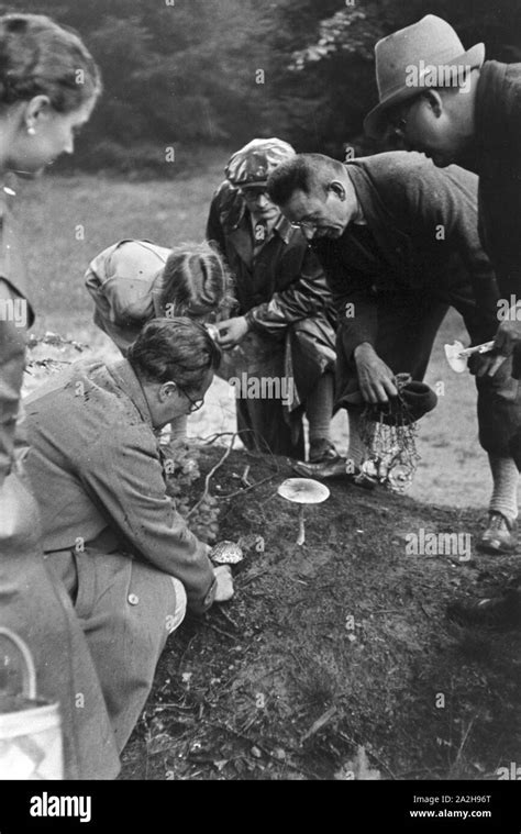 Pilzsammler Suchen Champignons Im Wald Immagini E Fotografie Stock Ad