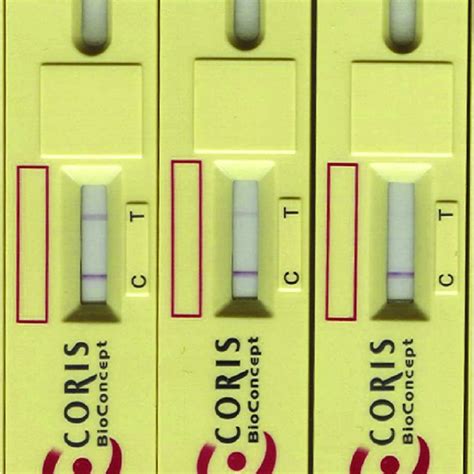 Structure Of A Lateral Flow Assay And The Two Main Types Of Lfa