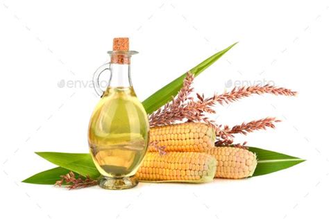 Corn Oil With Cobs Organic Plants Corn Oils