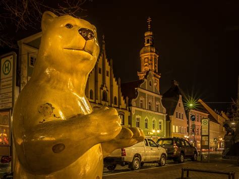 Was Ihr Schon Immer über Die Freisinger Bären Wissen Wolltet Servus