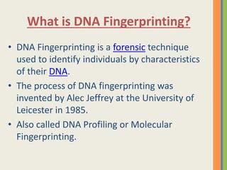 Dna Fingerprinting PPT