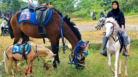 Kuda Kuda Makan Kuda Delman Naik Delman Istimewa Lagu Sebelum