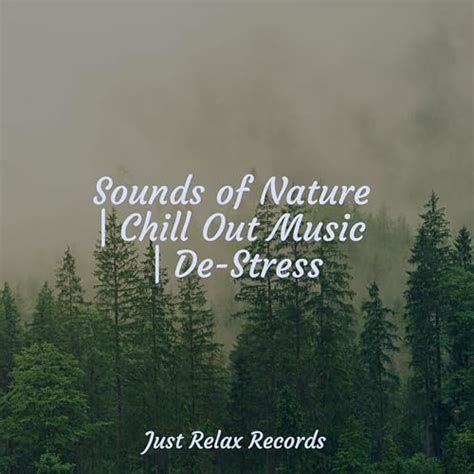 Play Sounds Of Nature Chill Out Music De Stress By Kinderliedjes