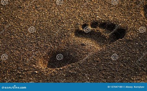 Empreinte De Pas Nue Dans Le Sable Photo Stock Image Du Vacances