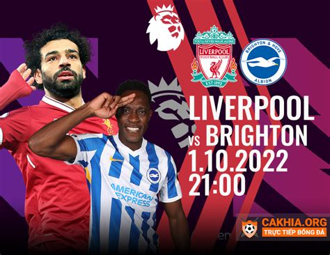 Cakhia Org On Twitter Nh N Nh Liverpool Vs Brighton H Ng Y