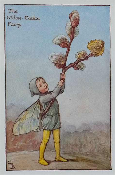 Flower Fairies Willow Catkin Pussy Willow Flower Fairy CICELY MARY BARKER Nostalgic Vintage
