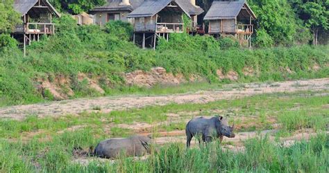 Bushveld Heritage Kruger National Park