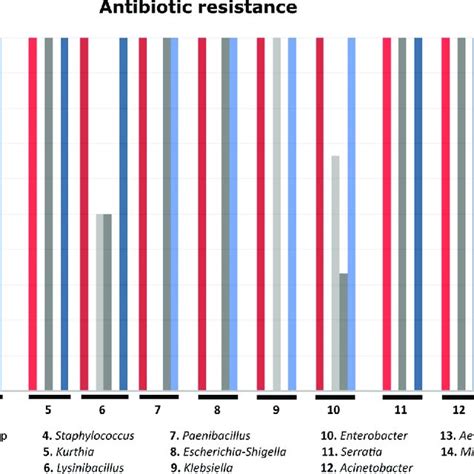 Antibiotic Resistance Chart The X Axis Shows The Morphotypes Of Each Download Scientific