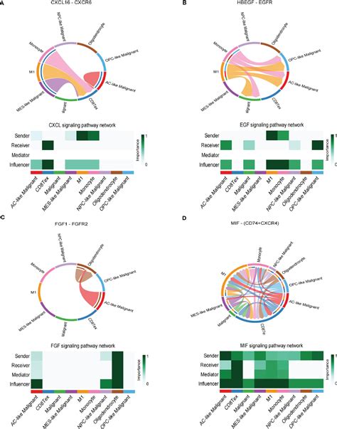 Frontiers Integration Analysis Of Single Cell And Spatial