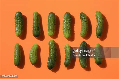 11383 Gherkin Vegetable Stock Photos High Res Pictures And Images