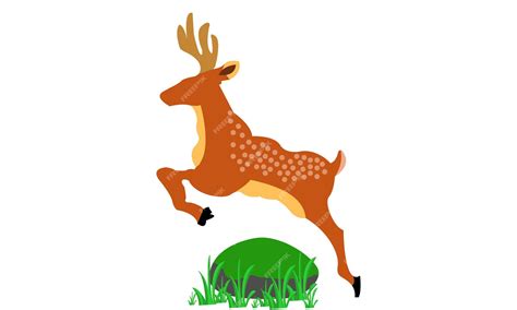 Premium Vector Illustration Vector Graphic Of Jumping Deer On Isolated White Background