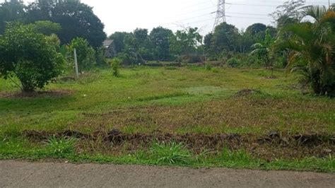 Di Jual Tanah Kebun Luas 350 Mtr Legalitas SHM