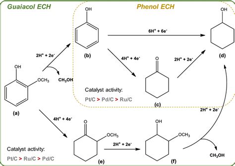 Schematic Of The Reaction Pathways For The Guaiacol And Phenol Ech And