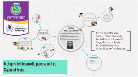 5 Etapas Del Desarrollo Psicosexual De Sigmund Freud By Omar Cota On Prezi