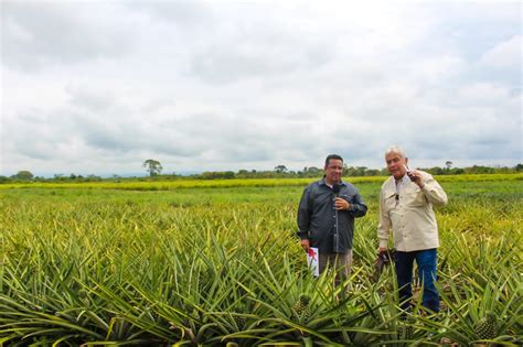 Gobernador Gerardo Márquez Más de 279 toneladas en frutas produjo