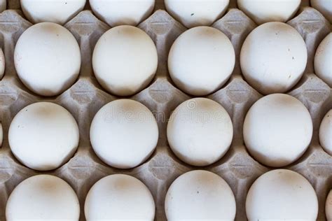 Eggs in Tray. Eggs on the Egg Tray Stock Image - Image of healthy ...