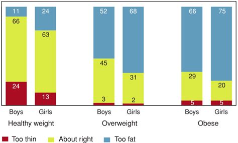 high body fat percentage normal bmi - Body Fat Percentage