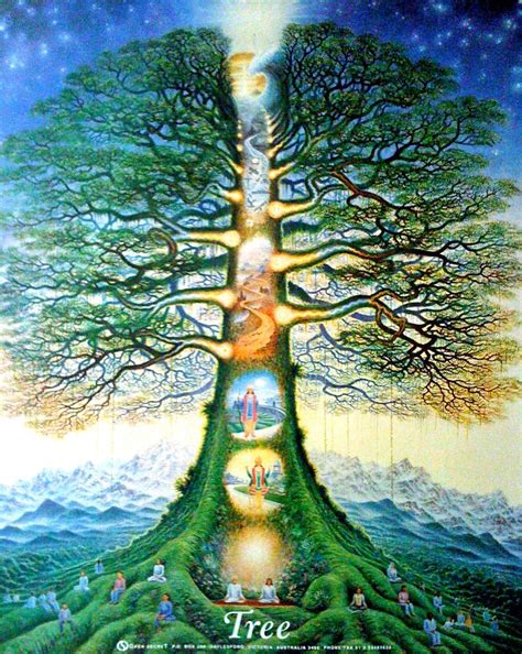 What Is The Tree Of Life In Heaven At Francis Pitts Blog