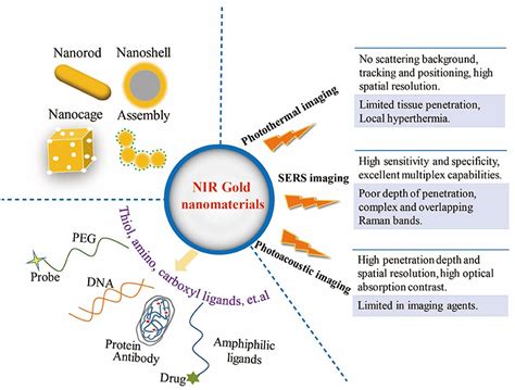 Frontiers Gold Nanomaterials For Imaging Guided Near Infrared In Vivo Cancer Therapy