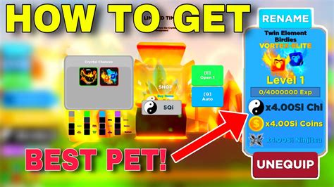 Best Pet How To Get Vortex Elite In Ninja Legend Roblox