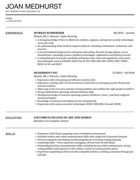 Director Cyber Security Resume Samples Velvet Jobs