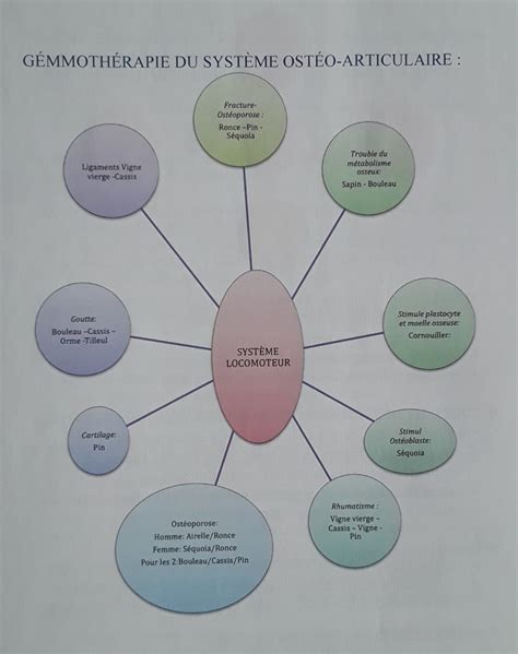 Traitements du système ostéo articulaire Notes de stages Art incelle