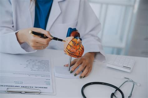 Médico explicando o coração a um paciente idoso Médico explicado o