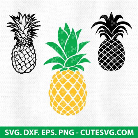 Pineapple Svg Bundle Pineapple Svg Summer Svg Bundle