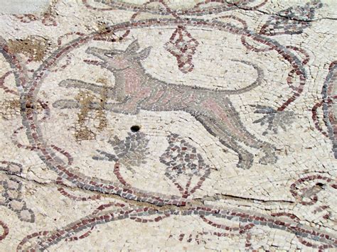 Mosaics Caesarea Israel Travel Photos By Galen R Frysinger