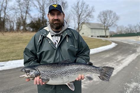 Seeking To Optimise Ras Grown Salmon Production The Fish Site