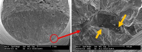 The Fractography Of Cu Alloy Slm Material Loading Amplitude Mpa