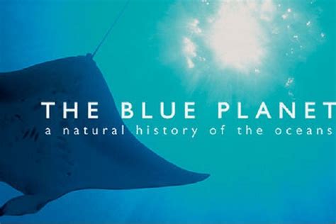 BBC America to Produce 7 Episodes of 'Blue Planet II'