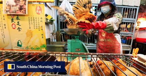 Live Chickens Back On Sale In Hong Kong After Bird Flu Cull South