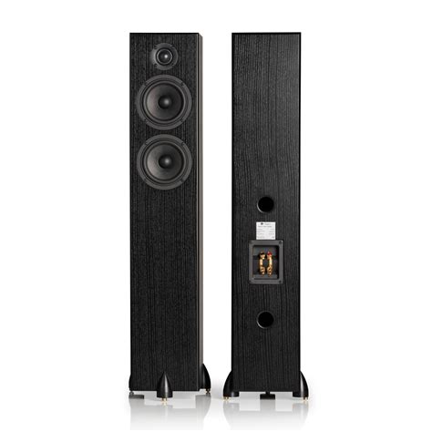 Totem Acoustic Bison Twin Tower Audio Team