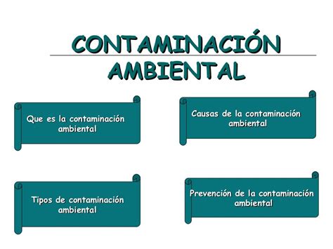 Esquema De La Contaminacion Ambiental Meridia