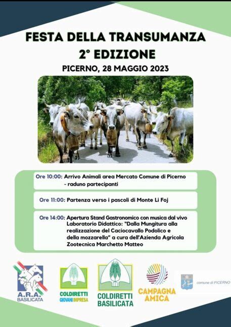 A Picerno Una Domenica Con La Festa Della Transumanza Basilicata