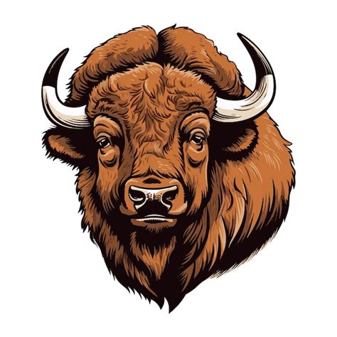 Premium Vector Bison Wild Beast Head Vector Illustration