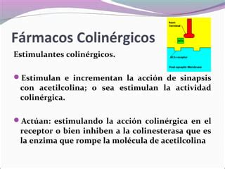 Adrenergico Y Colinergicos PPT