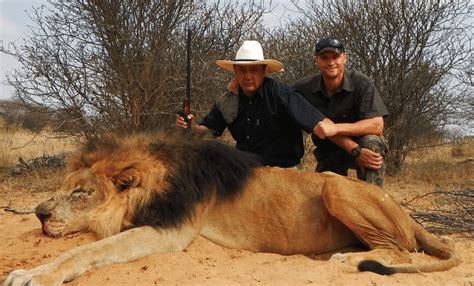 Lion Poaching