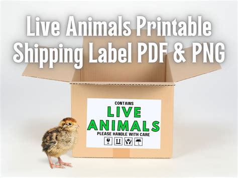 Printable Live Animals Shipping Label For Tagging Fragile Boxes